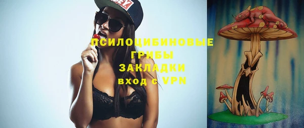 стафф Волосово