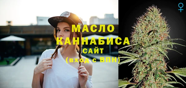 индика Волоколамск