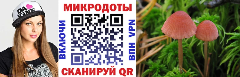 Купить где  Нефтегорск  Галлюциногенные грибы GOLDEN TEACHER 